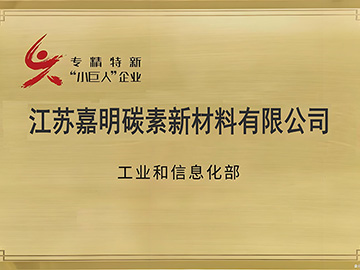 National-level Little Giant Enterprise excelling in specialization, refinement, uniqueness and innovation